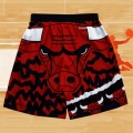 Pantalone Chicago Bulls Mitchell & Ness Rojo Negro